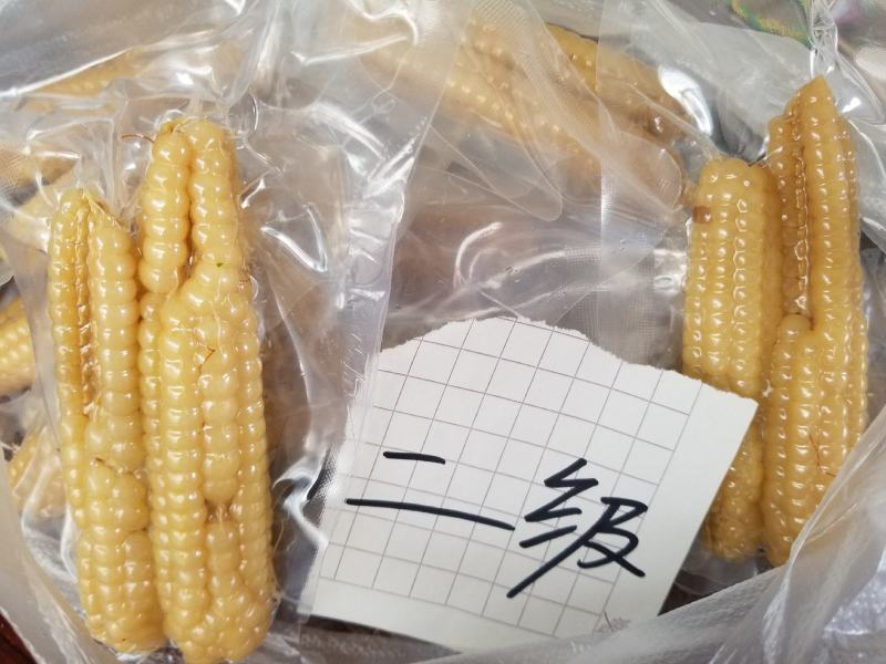 云西双版纳精品小拇指玉米，有新鲜带壳和真空包装，货源充足