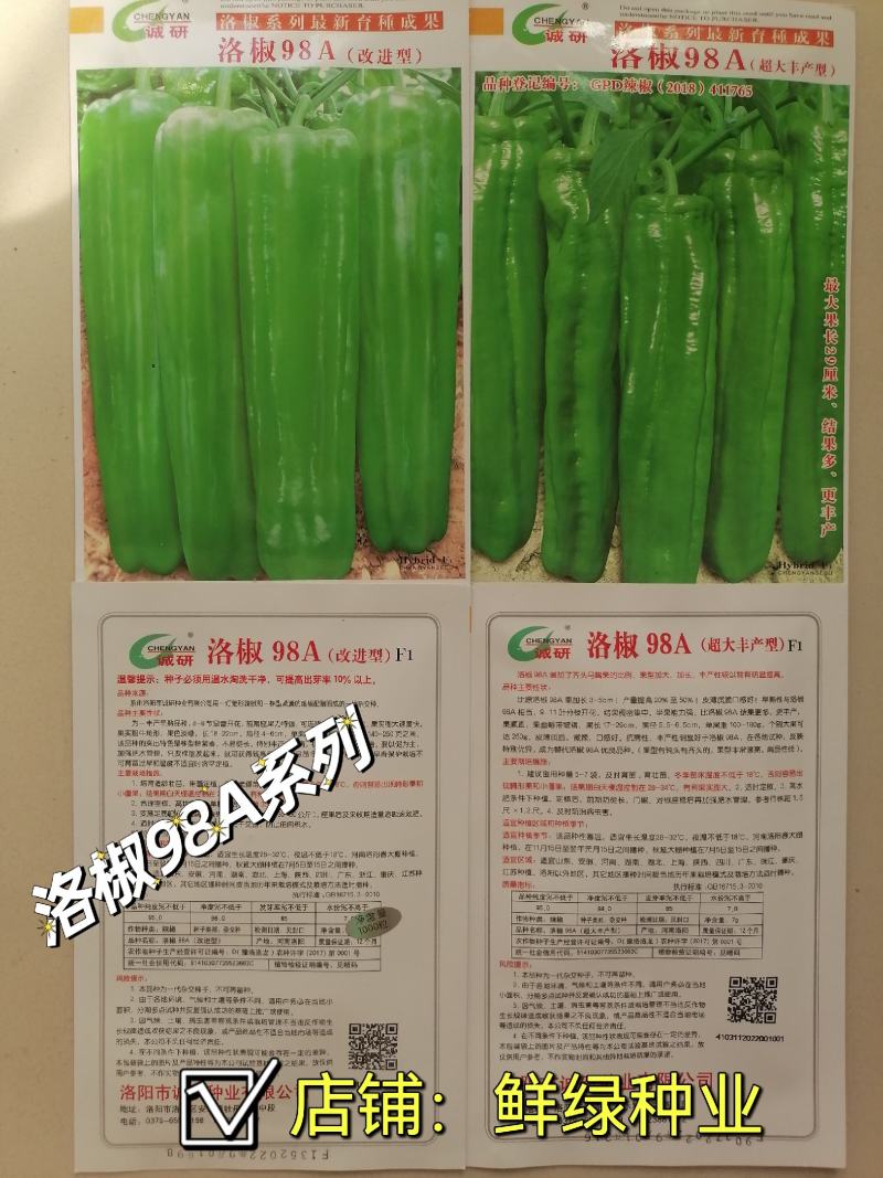 洛椒98A系列早熟薄皮椒，丰产抗病口感好品质佳