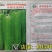 洛椒98A系列早熟薄皮椒，丰产抗病口感好品质佳