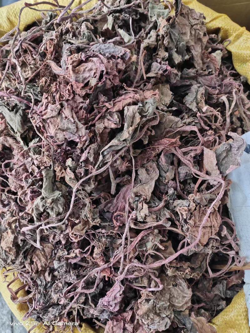 紫背天葵中药材批发红天葵紫背天葵草红叶紫背天葵