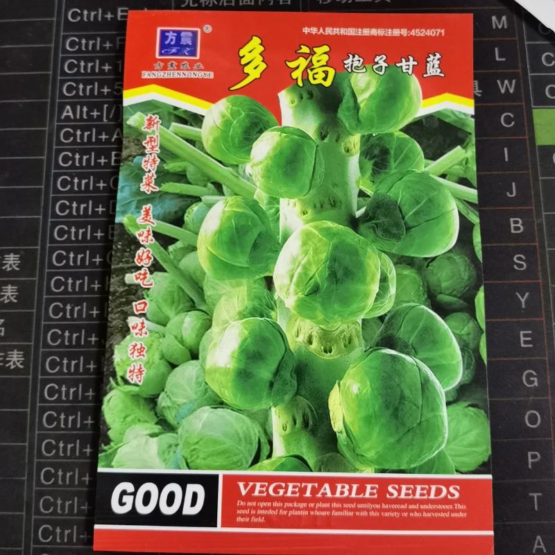 抱子甘蓝孢子甘蓝种子苗蔬菜种籽小包菜卷心菜包心高产菜种耐