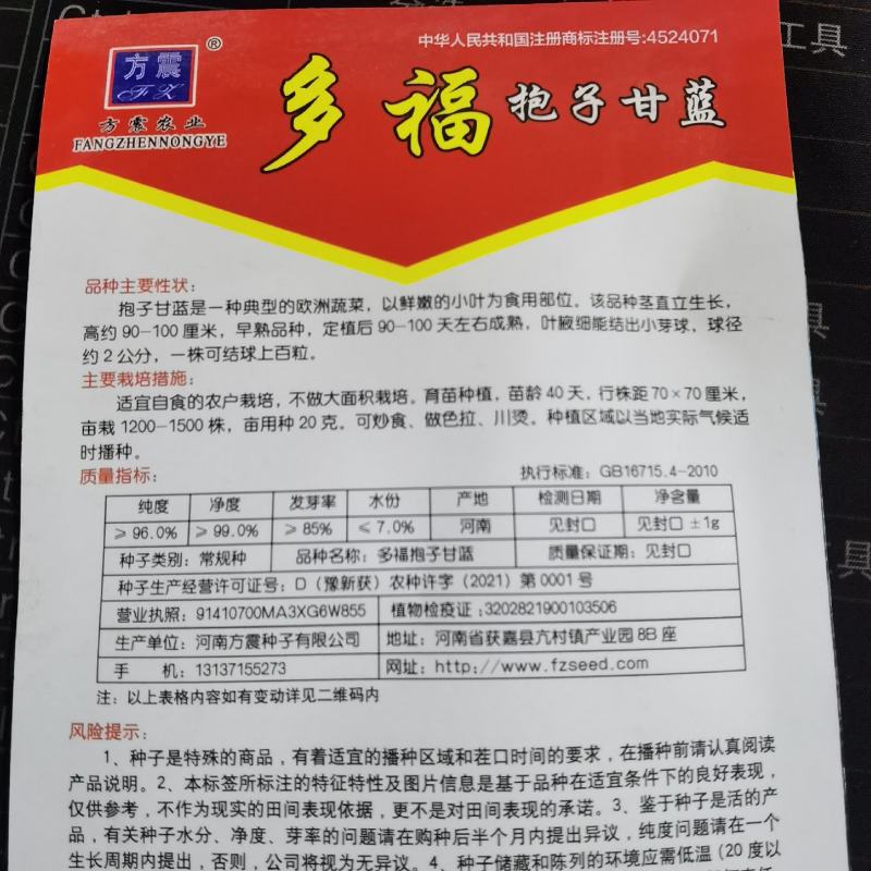 抱子甘蓝孢子甘蓝种子苗蔬菜种籽小包菜卷心菜包心高产菜种耐