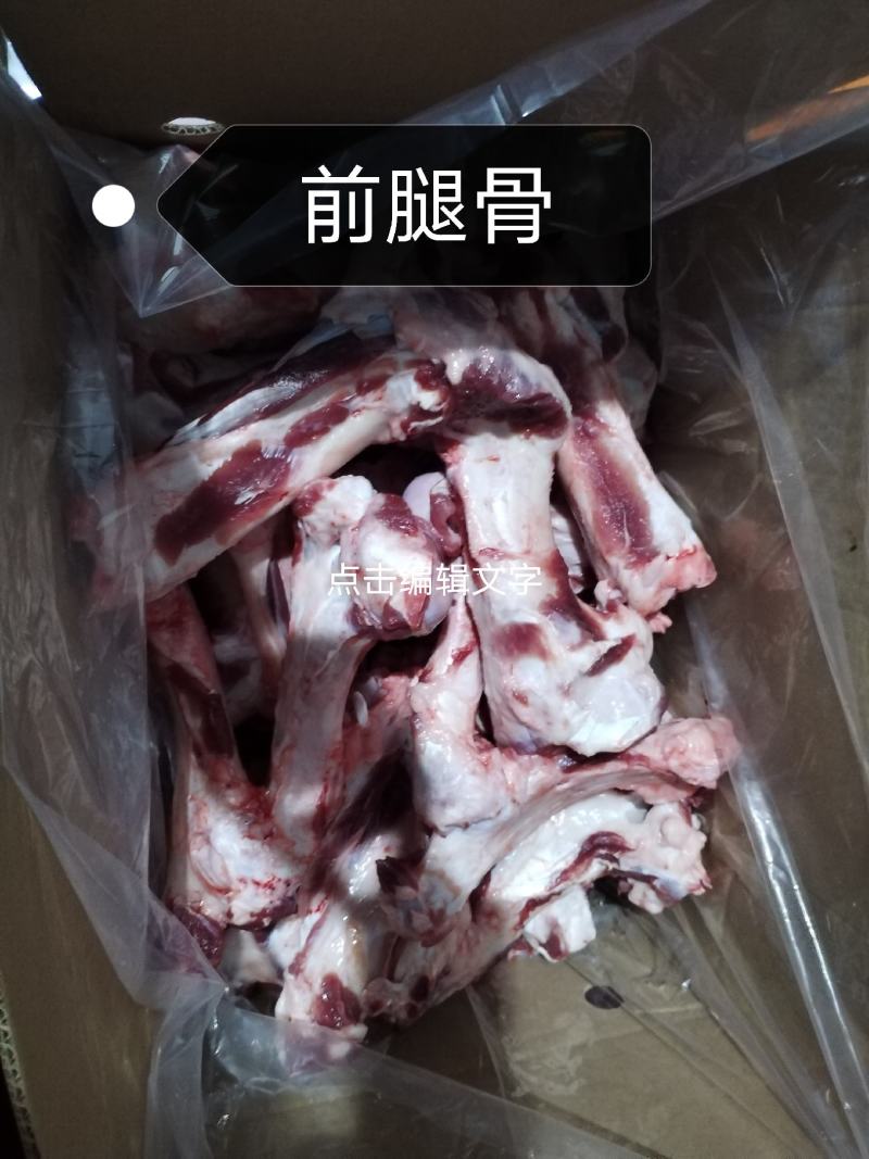 后腿骨