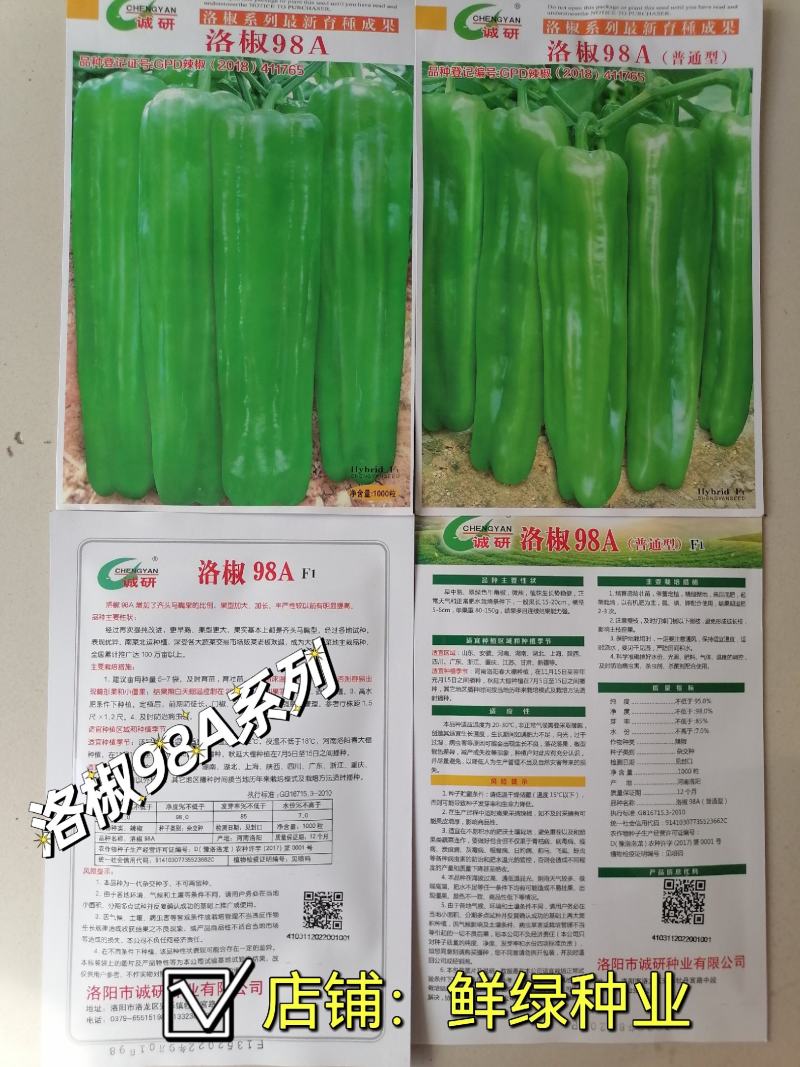 薄皮超大果98A品种皮薄质脆微辣口感好，抗病丰产果型优