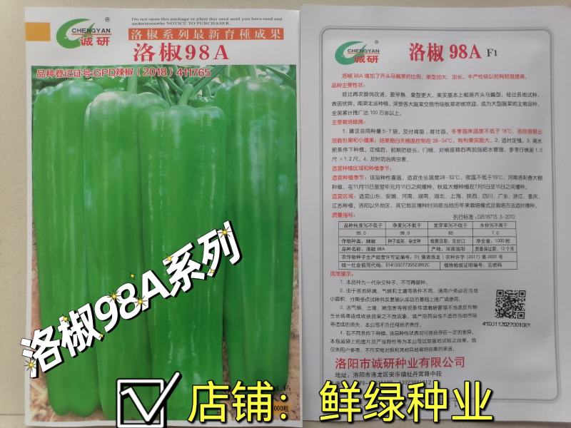 薄皮超大果98A品种皮薄质脆微辣口感好，抗病丰产果型优