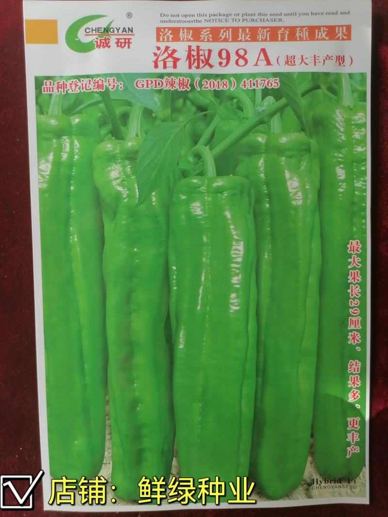 薄皮超大果98A品种皮薄质脆微辣口感好，抗病丰产果型优