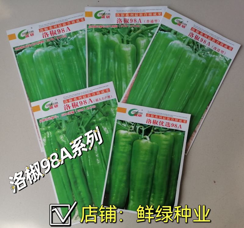薄皮超大果98A品种皮薄质脆微辣口感好，抗病丰产果型优