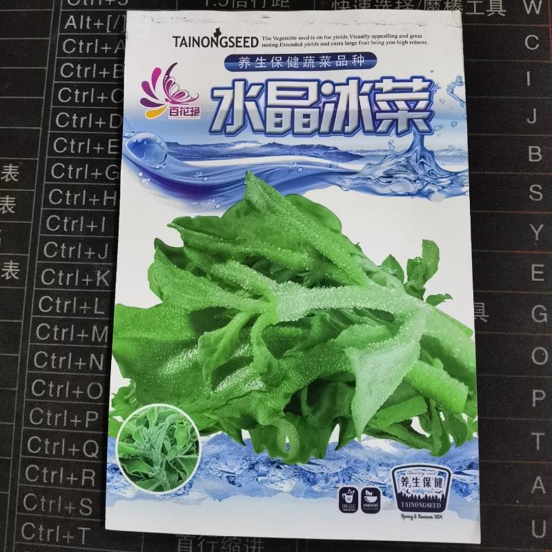 水晶冰菜芥菜种子冰草四季阳台盆栽田七羽衣甘蓝养心菜种子