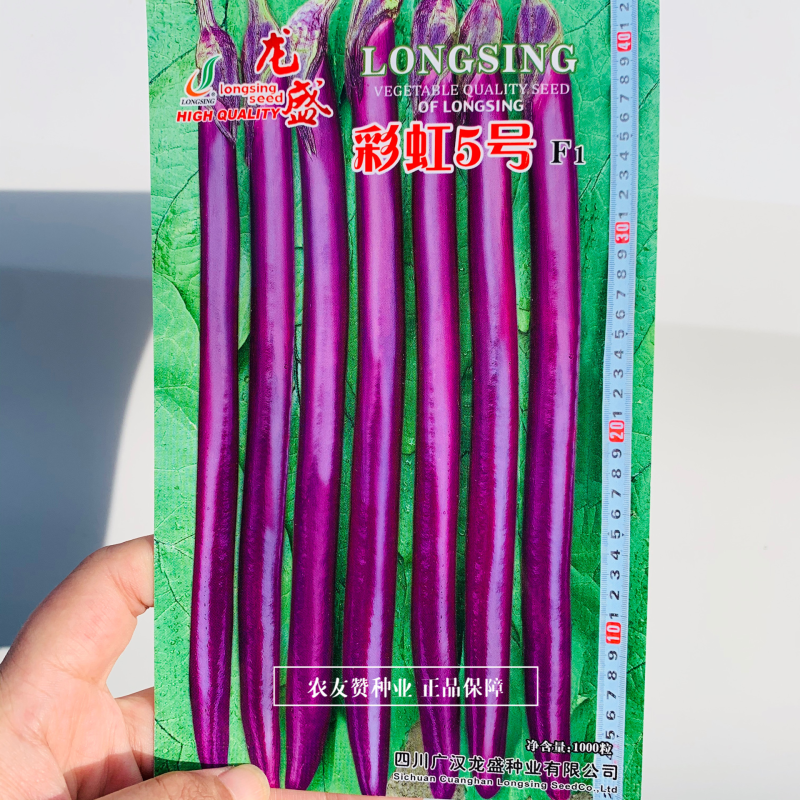 高品质紫红线茄种子四川龙盛彩虹5号早熟杂交一代茄子种子