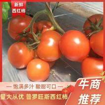 【推荐】西红柿果型好自然熟产地直供货源充足品质保证