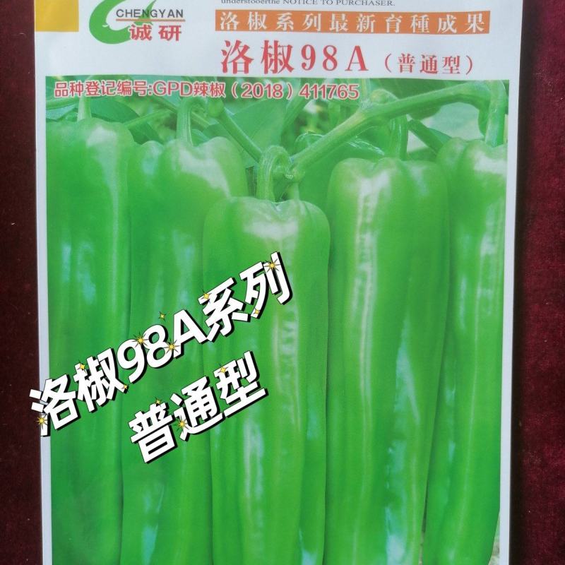 洛椒98A普通型薄皮椒种子早中熟翠绿色牛角椒，微辣丰产