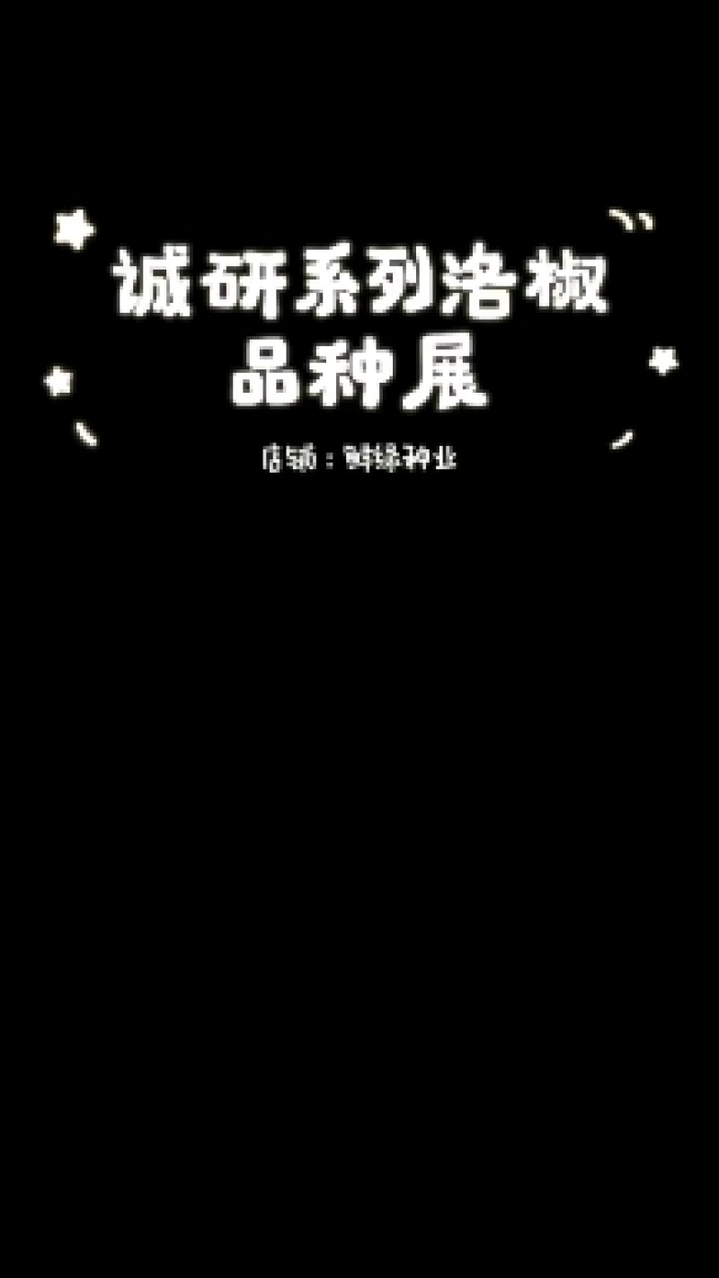 洛椒98A普通型薄皮椒种子早中熟翠绿色牛角椒，微辣丰产