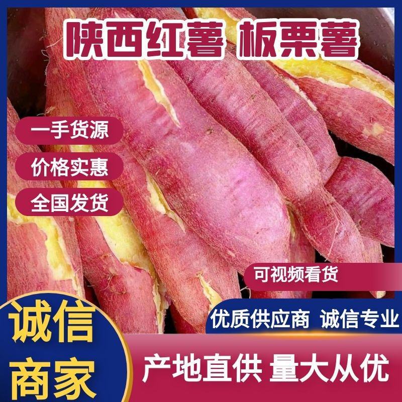 秦薯四号，五号板栗薯大量上市中，质量求生存，支持全国代发