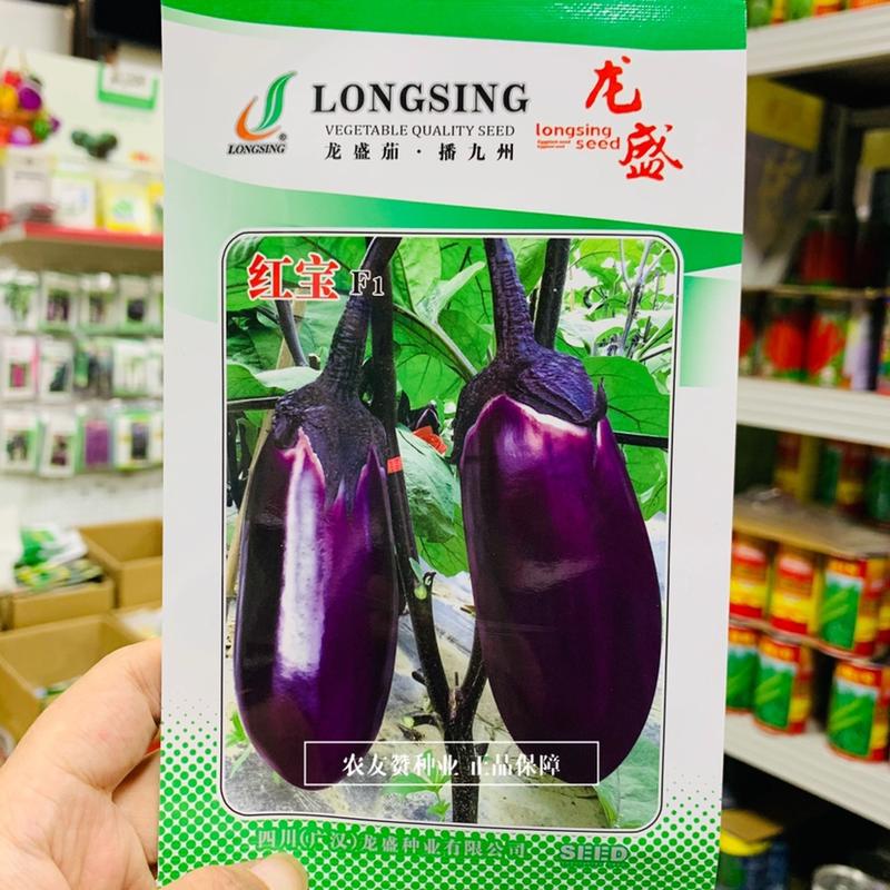 龙盛罐茄种子杂交一代茄子品种紫红茄子种子果肉白色丰产