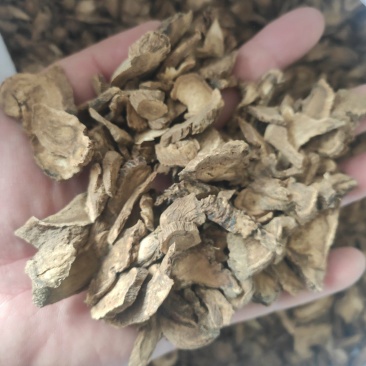 川木香干货川木香量大从优欢迎选购！