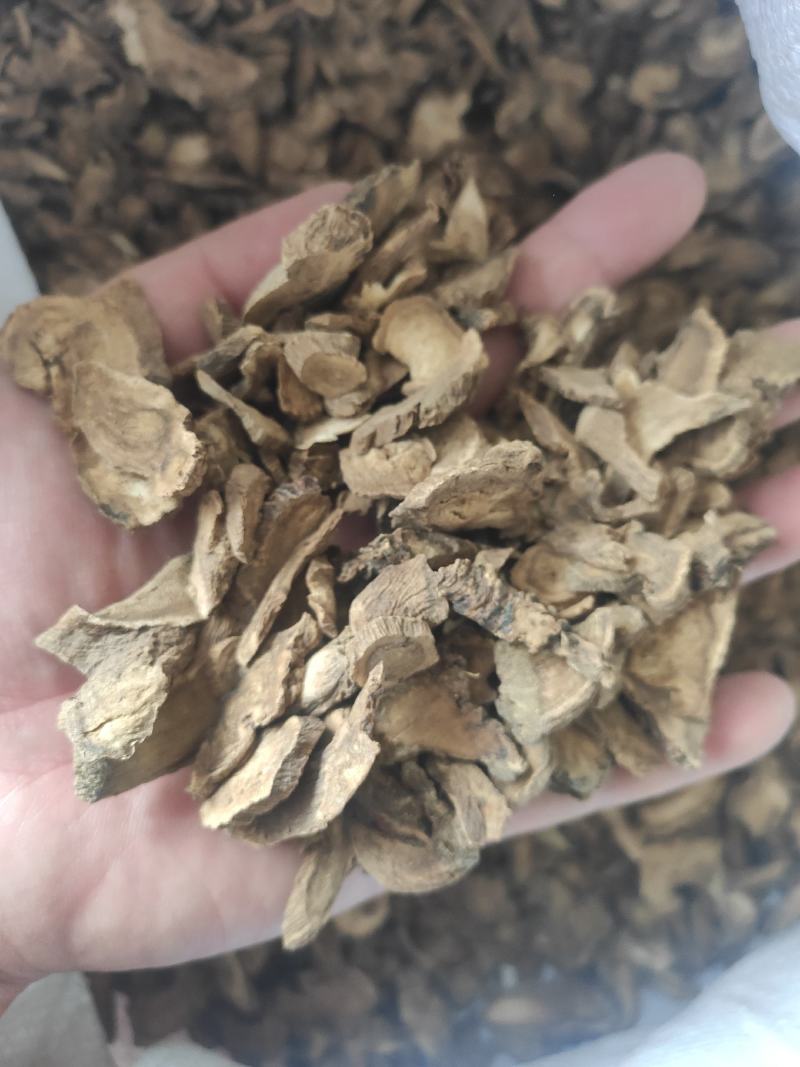 川木香干货川木香量大从优欢迎选购！