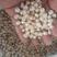 珍珠各种规格珍珠量大从优欢迎选购！