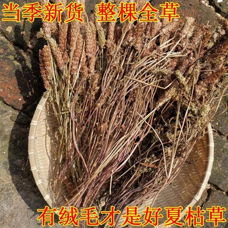 确山原产地夏枯草夏枯球种籽中子结穗饱满高产欢迎咨询