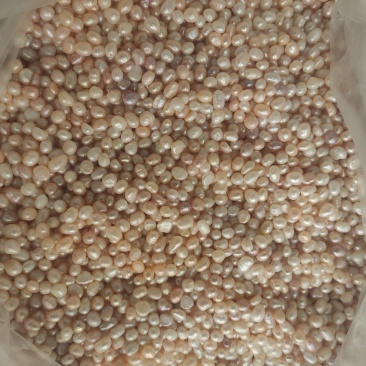 珍珠干货珍珠量大从优欢迎选购！