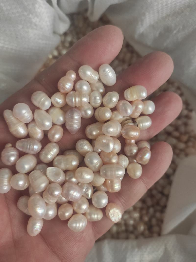 珍珠干货珍珠量大从优欢迎选购！
