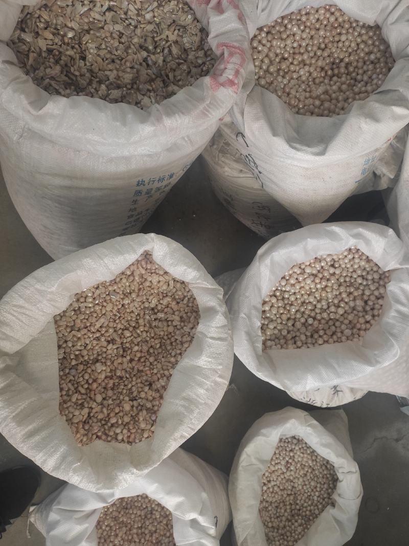 珍珠干货珍珠量大从优欢迎选购！