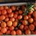 陕西汉中柑桔蜜橘货源充足量大从优售后保障欢迎来电