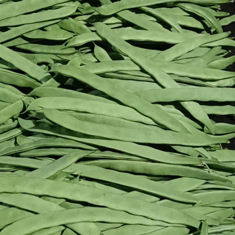 豆