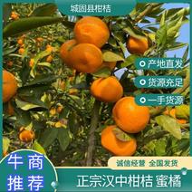 陕西汉中柑桔蜜橘货源充足量大从优售后欢迎来电