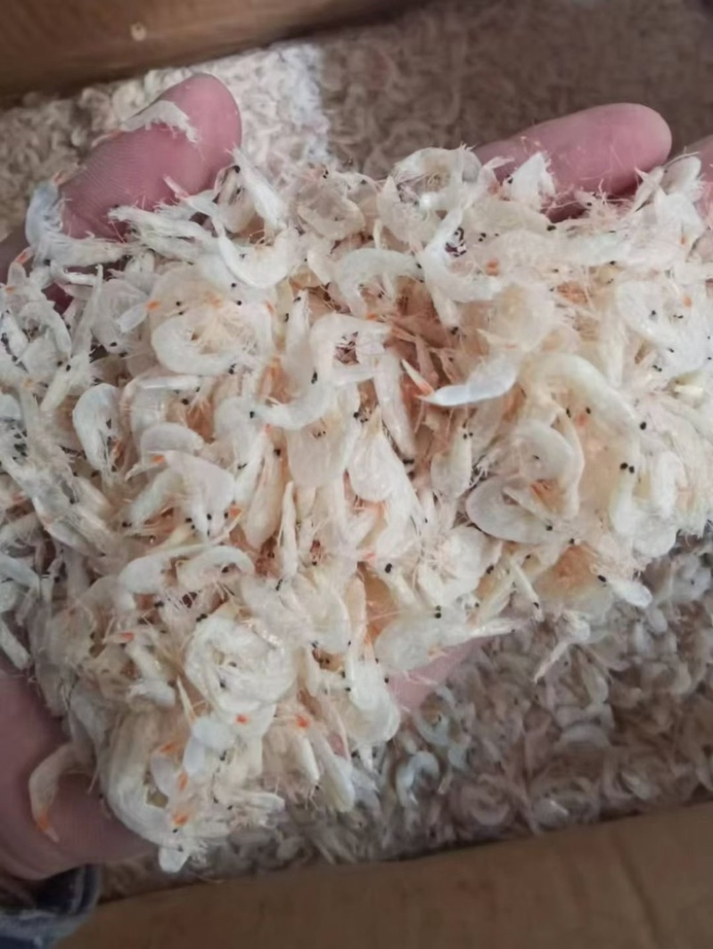 虾皮新鲜虾米一件10斤中号虾皮肉