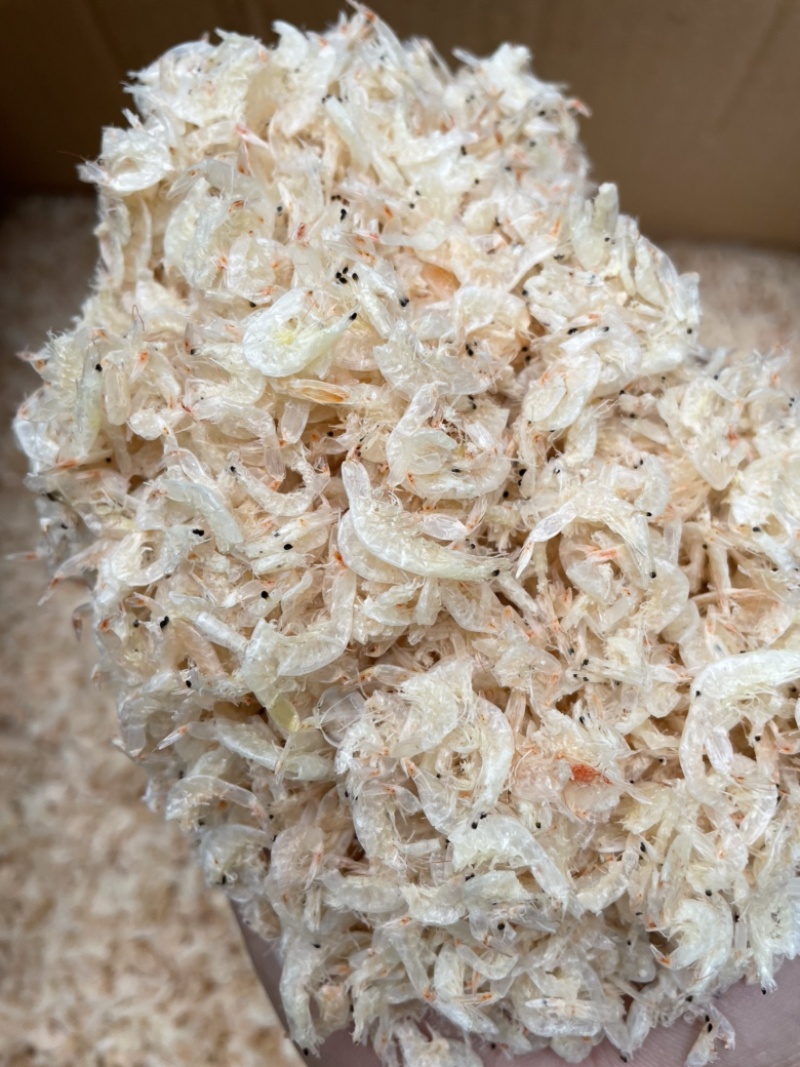虾皮新鲜虾米一件10斤中号虾皮肉