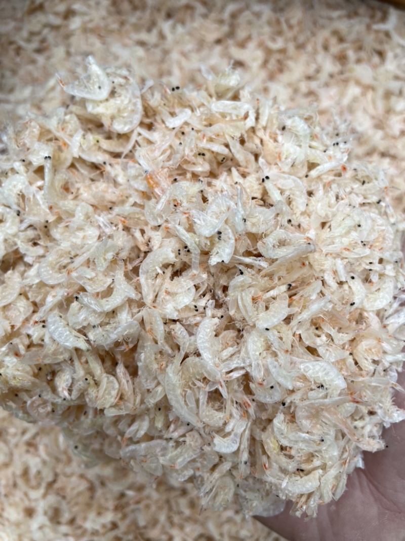 虾皮新鲜虾米一件10斤中号虾皮肉