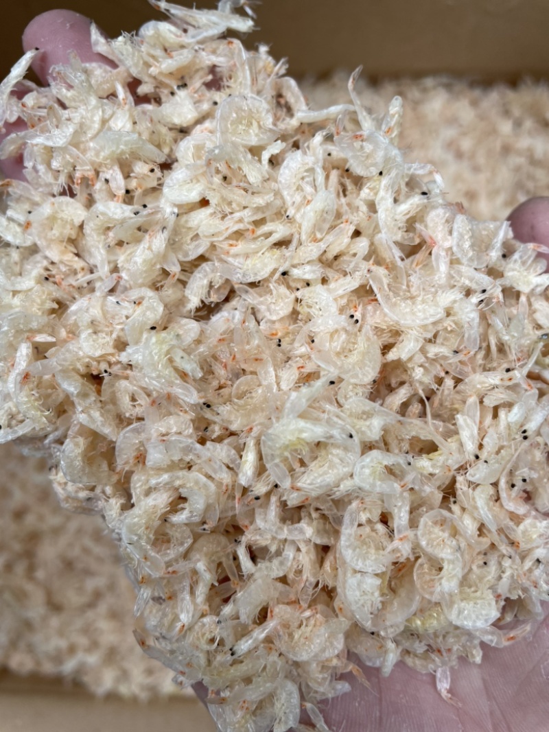 虾皮新鲜虾米一件10斤中号虾皮肉