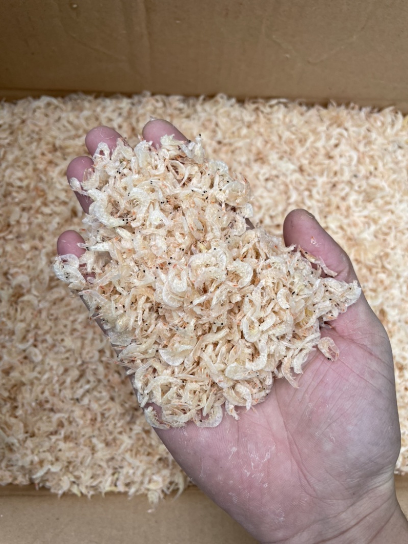 虾皮新鲜虾米一件10斤中号虾皮肉