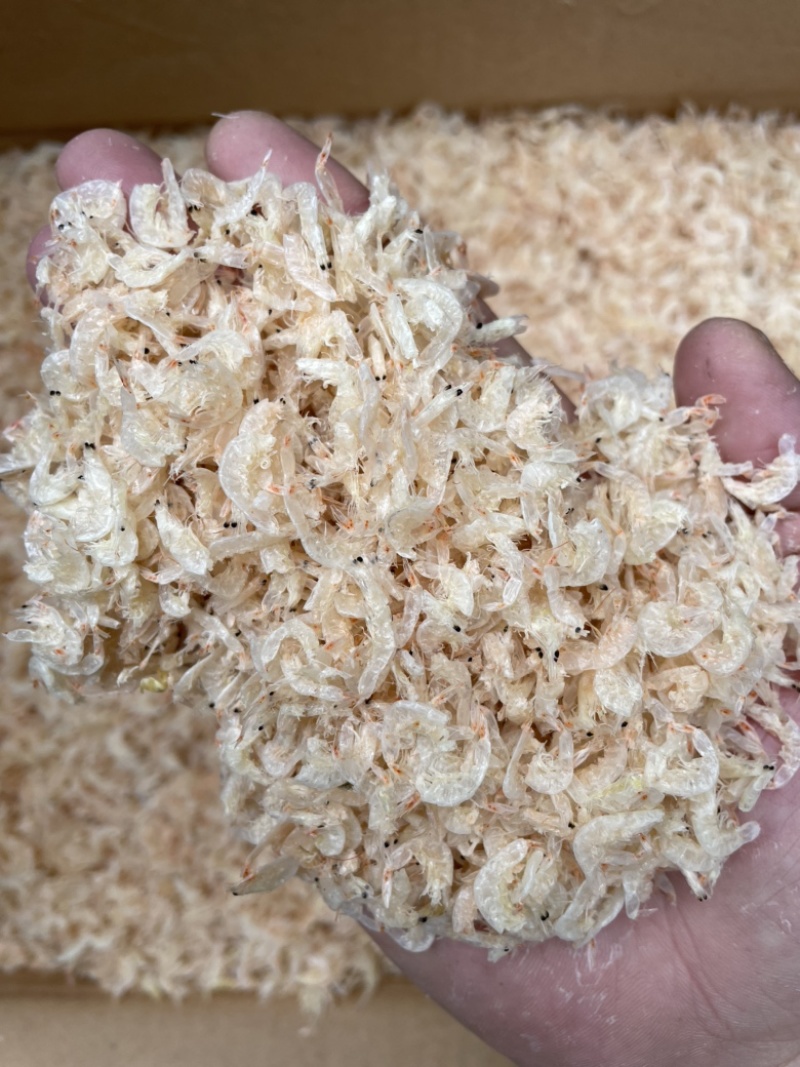 虾皮新鲜虾米一件10斤中号虾皮肉