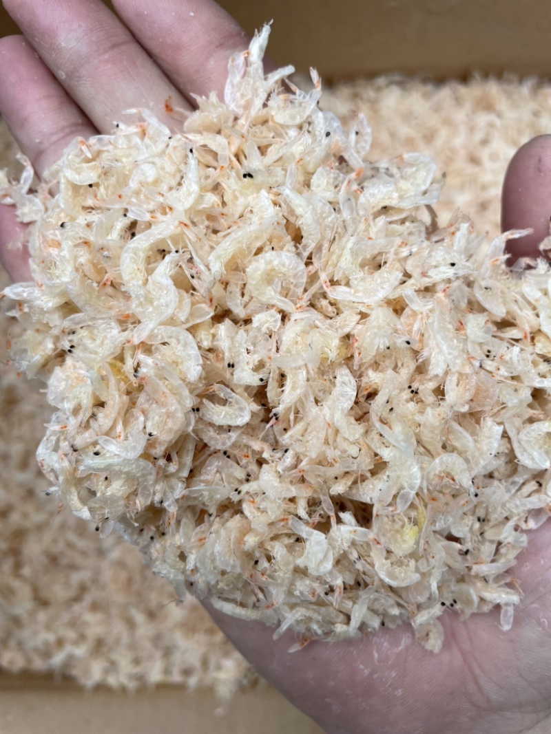 虾皮新鲜虾米一件10斤中号虾皮肉