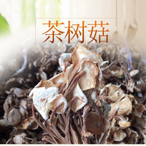 茶树菇2022年新货干货茶树菇炖汤炒菜价格美丽