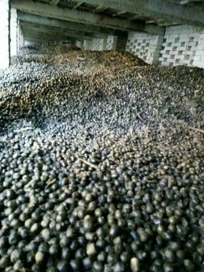 纯羊粪。