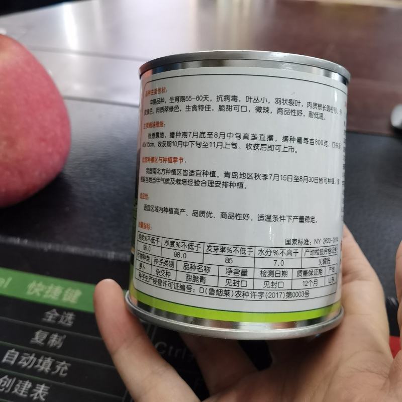 甜脆青水果萝卜种子冰糖水果萝卜种子生吃脆甜农户大面积种植