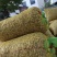 【优质】鲜花生，对接电商，工厂，市场工厂，价格美丽