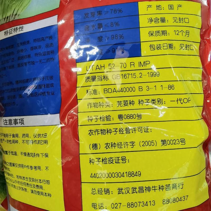 泰国四季大叶香菜种子耐热耐寒耐抽苔5斤装种植户大田蔬菜种