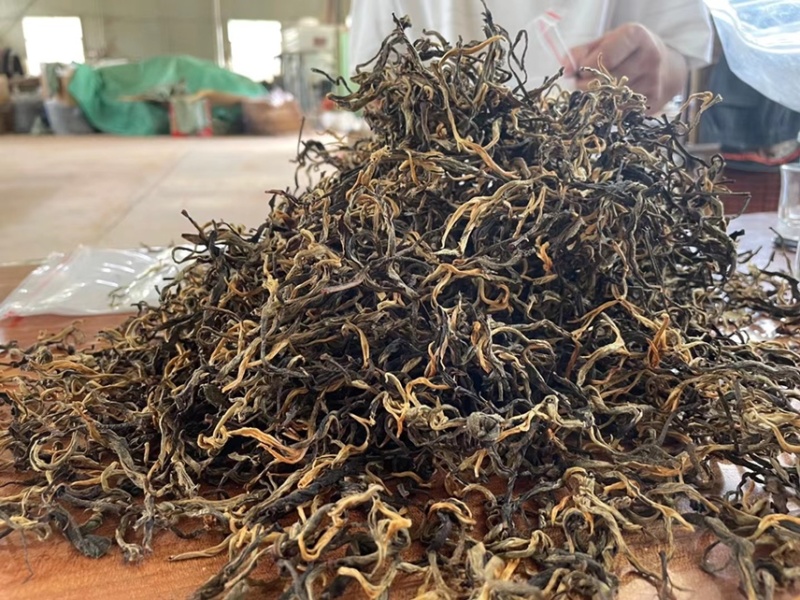 云南一芽二叶烤红糯香红茶汤透亮！价格实惠！批发