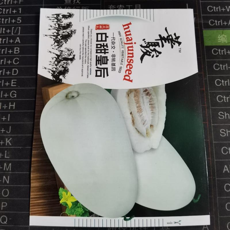白甜瓜种子白兔儿甜瓜种子早熟白皮梨瓜种子农家庭院用种