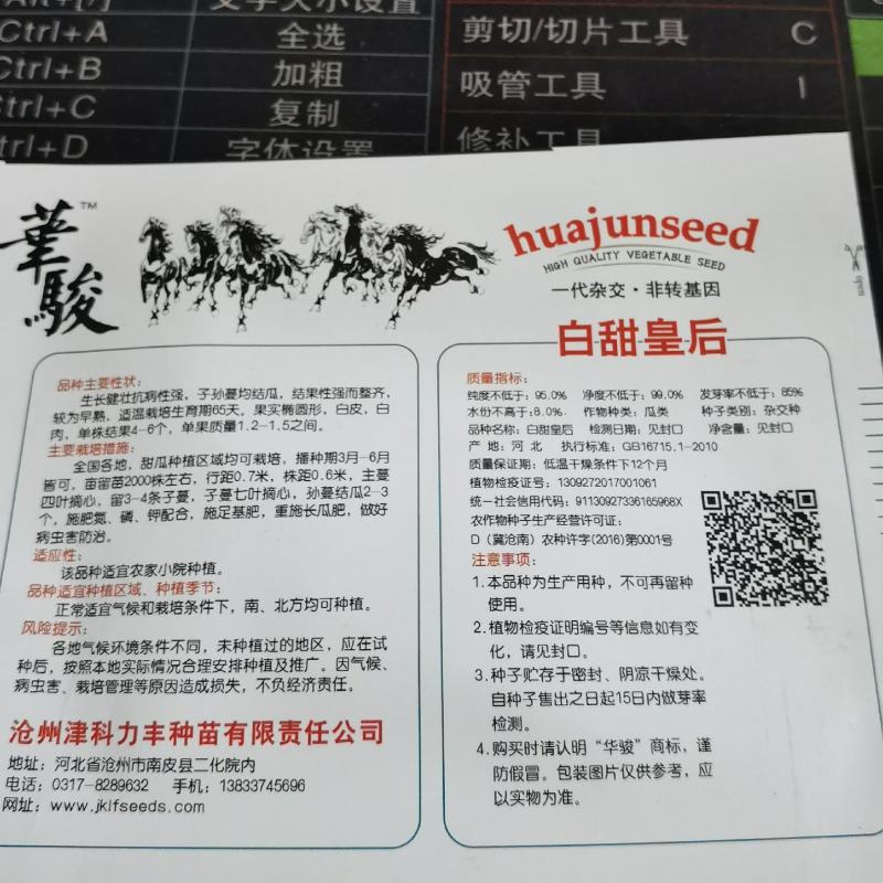 白甜瓜种子白兔儿甜瓜种子早熟白皮梨瓜种子农家庭院用种