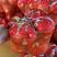 精品蜜柚，湖北柚子口感甜个头大，欢迎客户来看货采摘，水份足