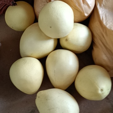 黄金蜜柚（广东省肉包邮一袋5O斤）