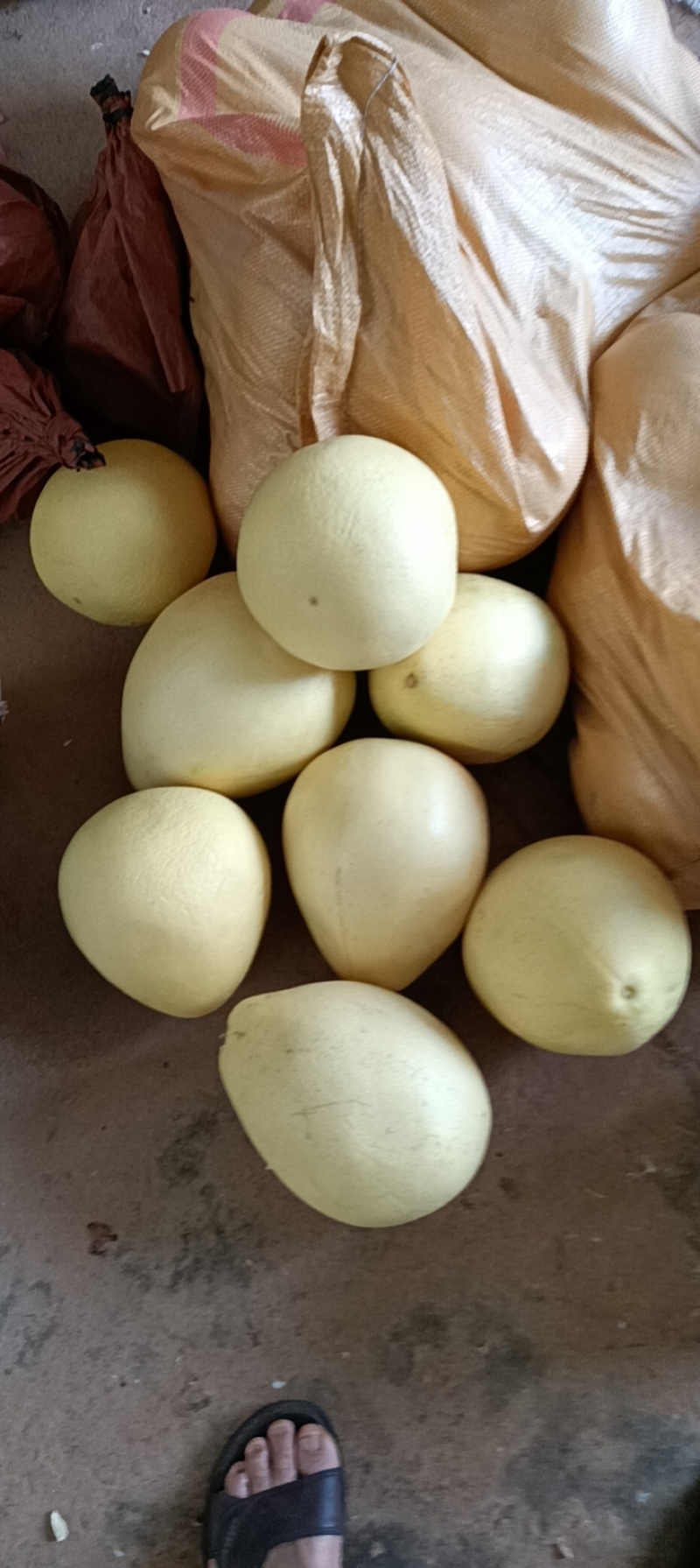 黄金蜜柚（广东省肉包邮一袋5O斤）