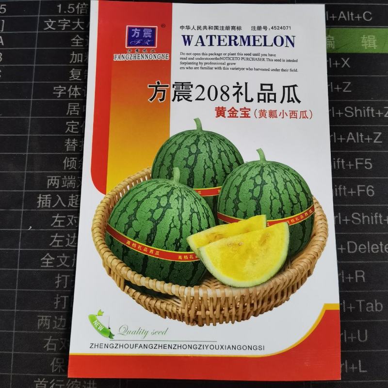 黄金宝黄瓤小西瓜种子小型礼品西瓜种子早熟汁多爽口农家庭院