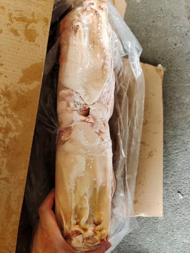 国产猪耳28—30片装纯干货物美价廉一手厂家