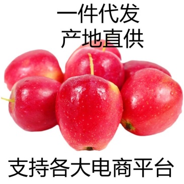 掌柜推荐海棠果鸡心果新鲜包售后欢迎加入大家庭