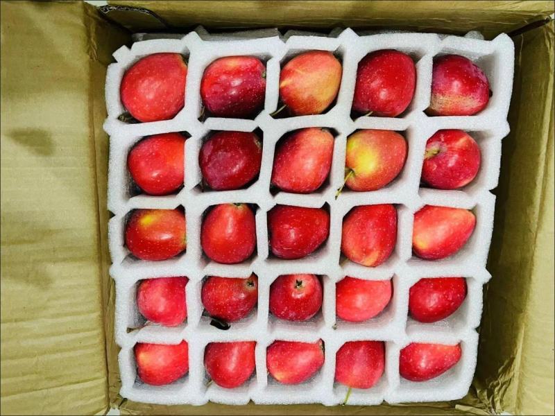 掌柜推荐海棠果鸡心果新鲜包售后欢迎加入大家庭